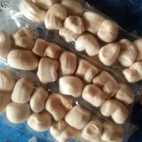 COCHITAS